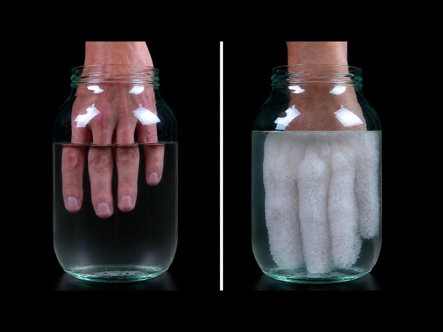 Best Science Videos on the Internet
