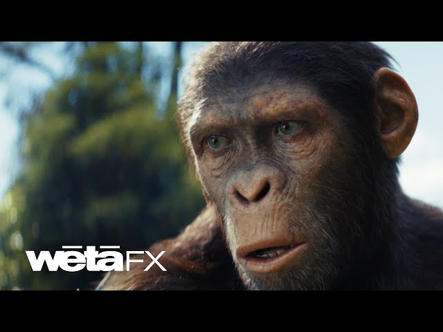 The Visual Effects of Kingdom of the Planet of the Apes | Wētā FX