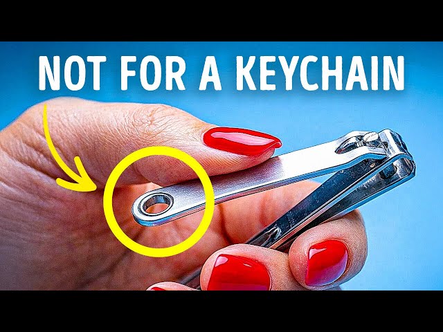Hidden Secrets You’ve Missed in Things Around You