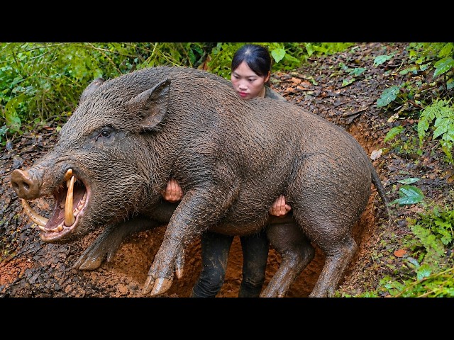 200 Days of Extreme Survival: Wild Shelter, Boar Traps and a Giant Python Attack