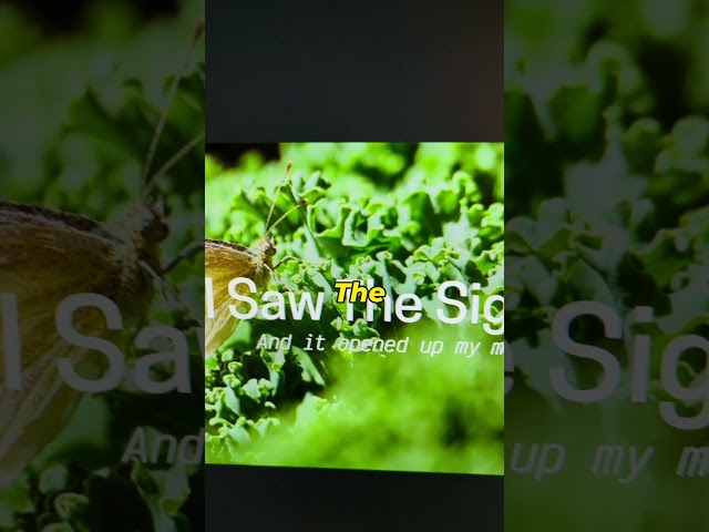 This website feels illegal to know... #coding #codinglife