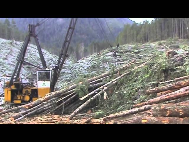 Who wants to see a cable harvesting system?