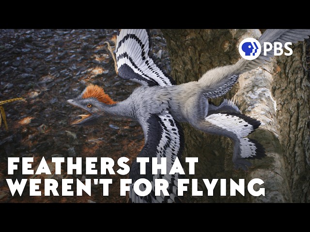The Terrifying Reason Flightless Dinosaurs Grew Feathers