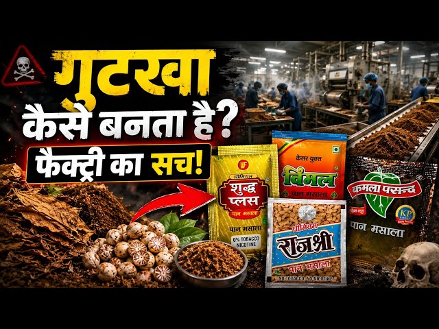 गुटखा कैसे बनता है? ⬛ Inside Factory का काला सच!