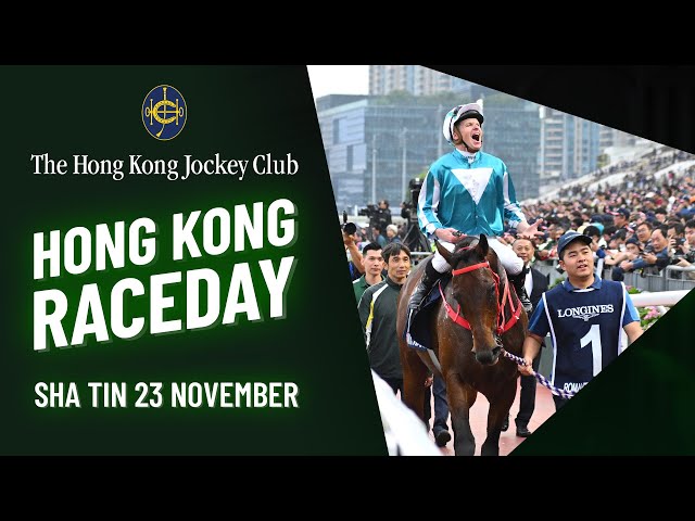 Hong Kong Race Day | 23 November Sha Tin | Punters