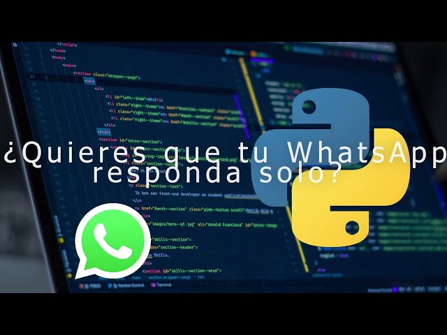 "bot de whatsapp python"