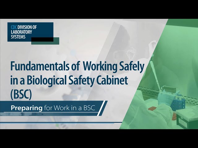 Fundamentals of Working Safely in a Biological Safety Cabinet (BSC): Preparing for Work in a BSC