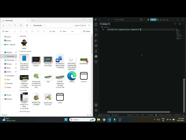1. Python File Organizer - What Are We Building