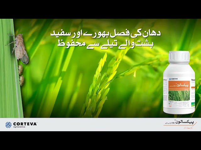 Pexalone |  Rice Crops | Corteva