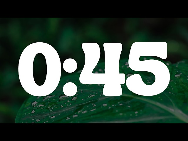 45 Second Countdown Timer
