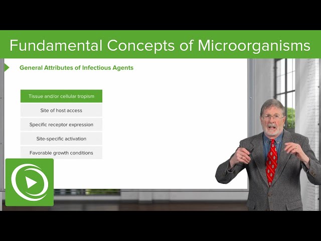 The Basics of Infectious Diseases  | Cellular Pathology