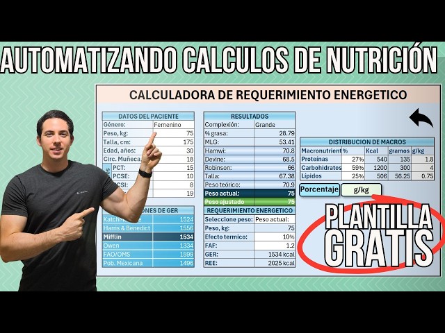 HICE UNA CALCULADORA DE NUTRICIÓN | PLANTILLA DESCARGABLE