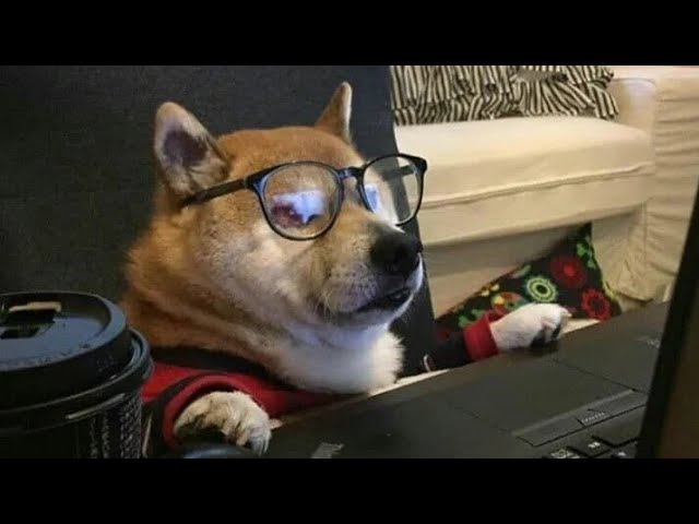 Building a scrapper that runs on laptop for my SaaS