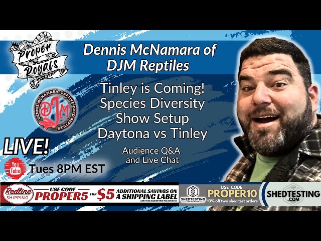 Dennis McNamara on Ball Python Vision, Supers, & Tinley Prep