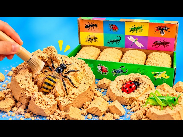 Insect Hunt Adventure 🐜🔎 Find the Hidden Bugs