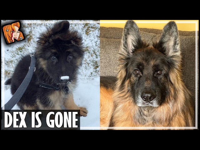 Dex Is Gone