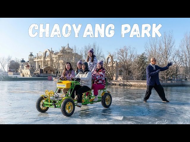 THIS VIDEO IS BORING | Winter in Beijing's Chaoyang Park | WalkingTour 4K