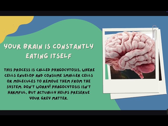 cool random facts  you probably didn't now