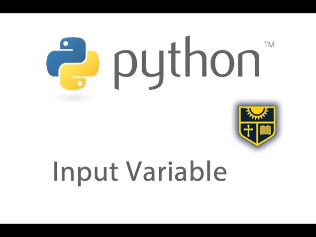 How to create a Variable using a User text Input in python