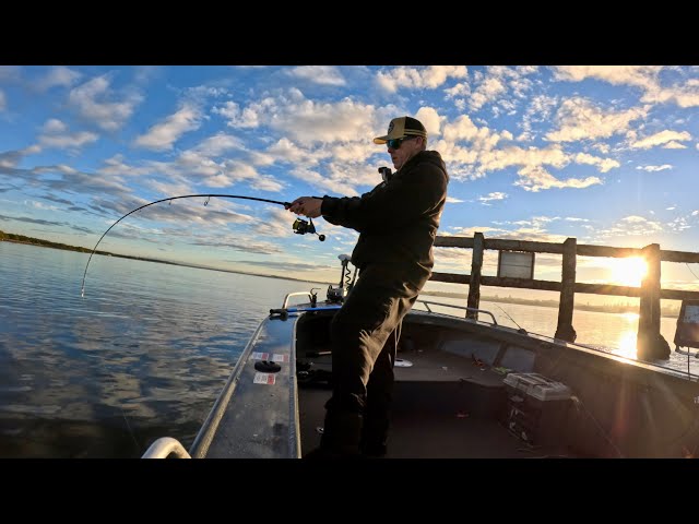 Chasing Jewfish around Structure !! 