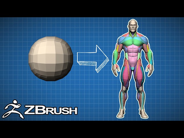 Human Anatomy Sculpting with Spheres (Zbrush)