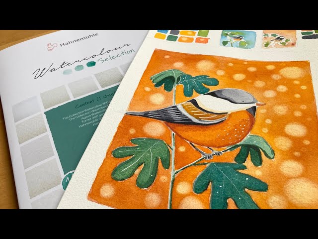 Hahnemühle The Collection watercolor paper 300gsm review | Bird illustration | Watercolor selection