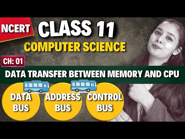 Data Bus, Address Bus, Control Bus | Data Transfer Between Memory and CPU | Class 11 CS