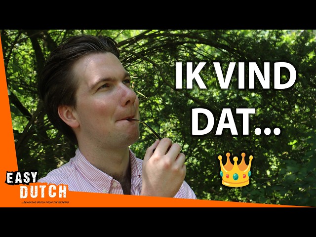 Express Your Opinion in Dutch: Do's & Don'ts - KING Edition