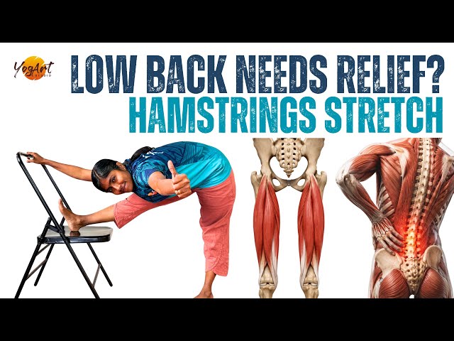 Tight Hamstrings & Low Back Stiffness? Try This Chair-Supported Stretch | YogArt 