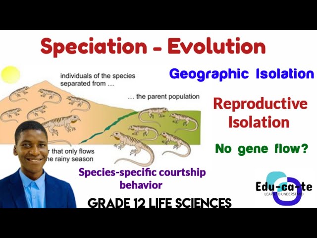 Speciation by Geographic & Reproduction isolation - Grade 12 Life Sciences evolution