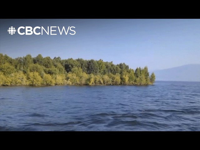 An island mysteriously appeared — then disappeared — on B.C.'s largest reservoir