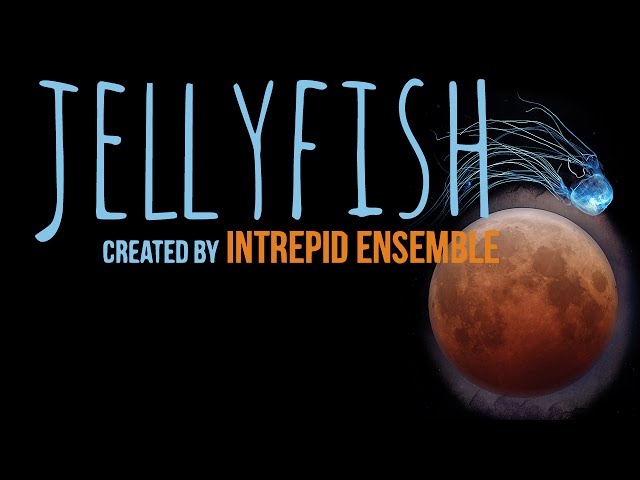Jellyfish VR - Intrepid Ensemble