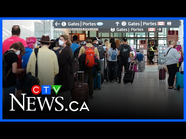 How Canadian travellers can avoid turbulence from Air Transat strike