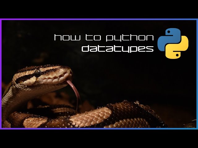 Datatypes - How to Python - Basics 1