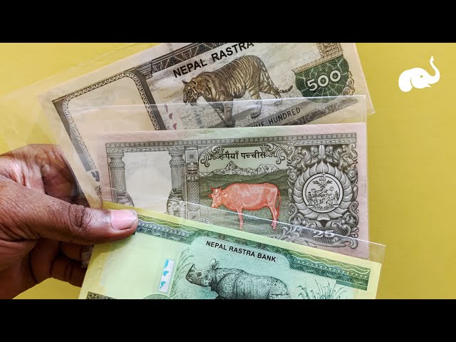 Most beautiful Nepal currency & Polymer Bank Notes Added to store, Buy online Coin Stamp - India