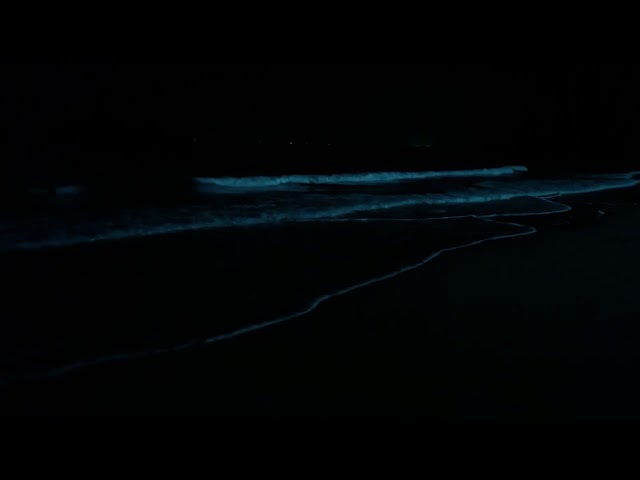 Olas del mar en la noche para dormir / relajacion natural 4K