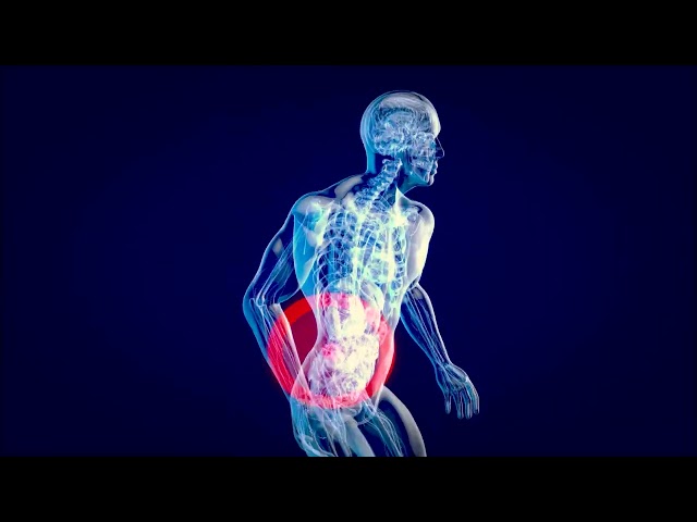 Sciatica Pain Relief Savannah GA | Bright Life Chiropractic