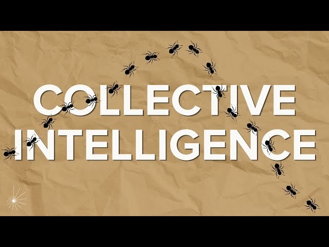 The Power of Collective Intelligence | Albert-László Barabási