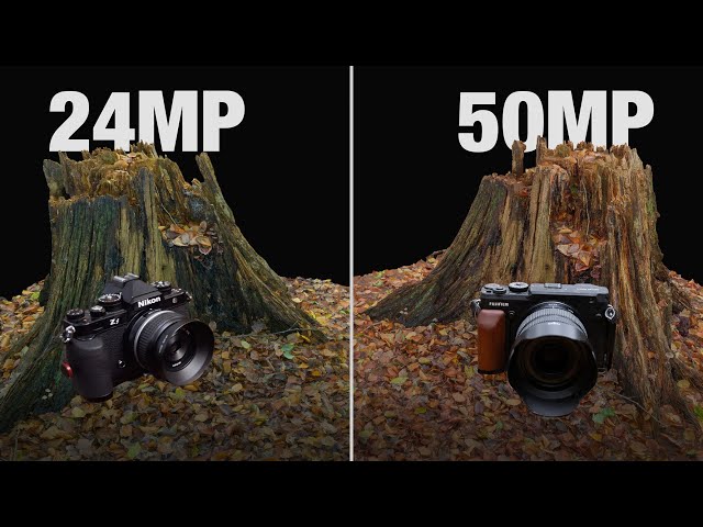 Photogrammetry Camera Test: 24 Megapixels vs 50 Megapixels