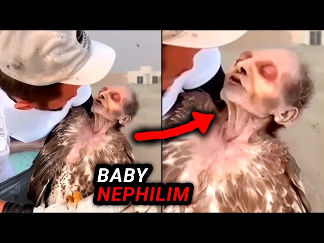 You Won't Believe These Recent DISTURBING Viral Videos