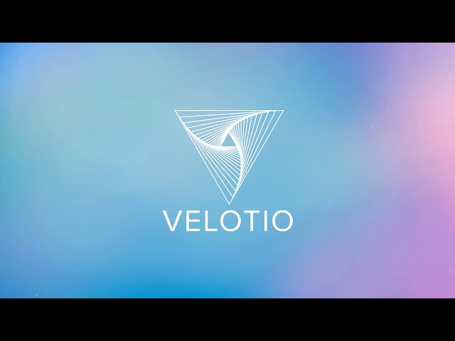 Kite Flying Festival 2024