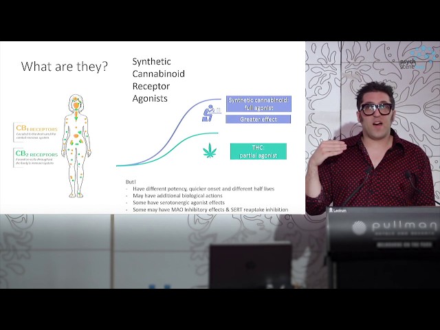 Synthetic Cannabinoids – Myths Vs Science By Dr Raimondo Bruno