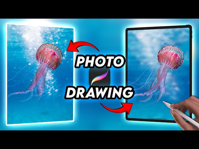Replicate a photo in Procreate - Tutorial 271