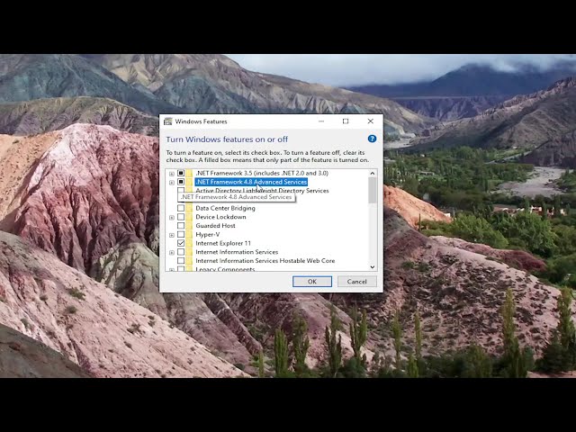 How To Install .NET Framework 4.8 on Windows 10 [Guide]