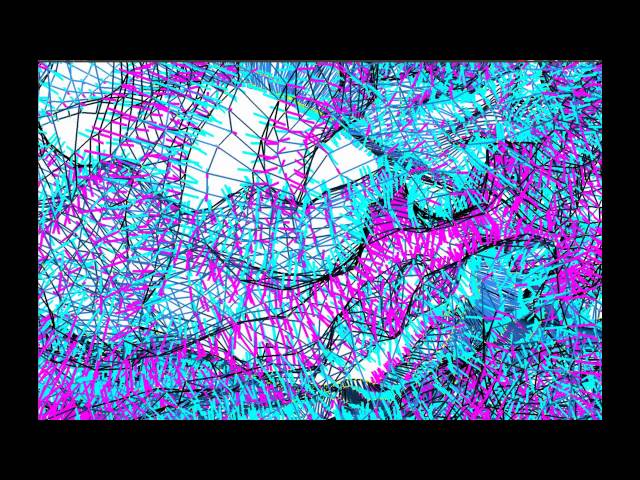 Folding the human cortex