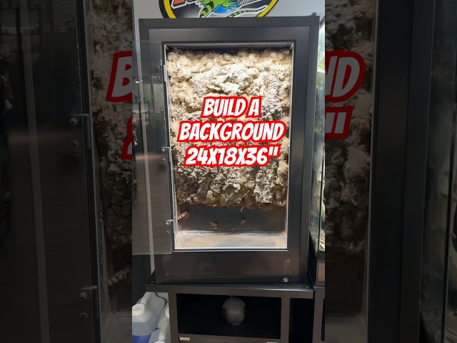 Make a Reptile Background (Pangea PVC 24x18x36” Enclosure)