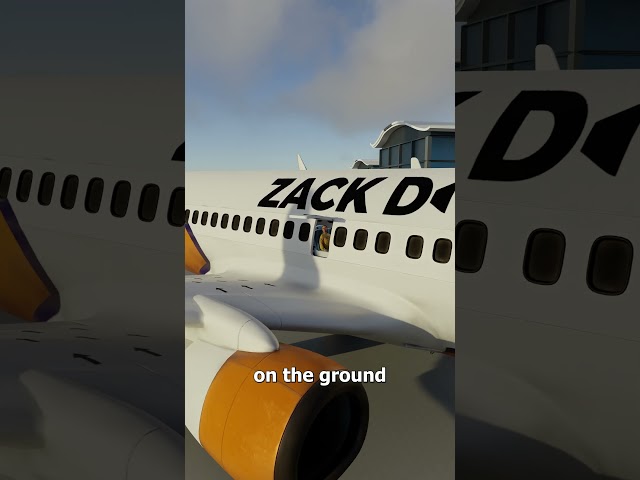 Pulling The Emergency Door On A Plane 😮