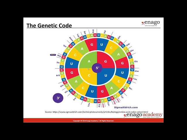 A Beginner’s Guide to Bioinformatics: Key Concepts, Tools & Databases Explained