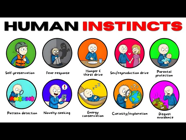 Every Human Instinct Explained