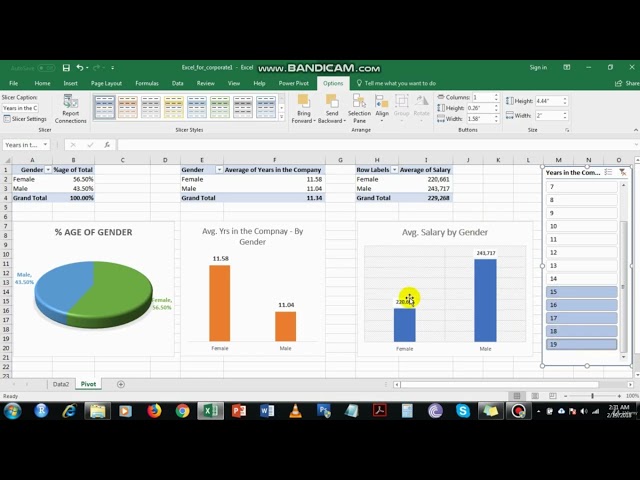 4. Visualizing with Charts 2 - Data Visualization with Excel